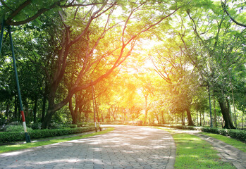 Stone Pathway in the Green Park with burst light