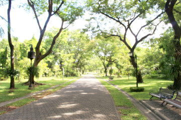 Fototapeta na wymiar Blurred background Stone Pathway in the Green Park