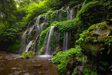 Fototapeta na wymiar Waterfall landscape. Beautiful hidden waterfall in tropical rainforest. Nature background. Slow shutter speed, motion photography. Banyu Wana Amertha waterfall, Bali, Indonesia
