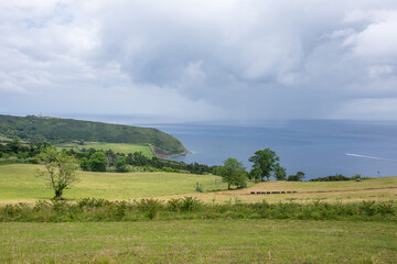 Walk on the Azores archipelago. Discovery of the island of Faial, Azores, Horta