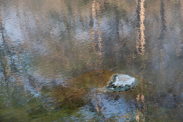 Beautiful morning fog or smoke over Huay mak leam hot spring, Lam Nam Kok National Park, Thailand
