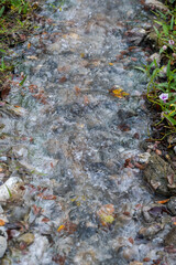 Hot spring water flowing on the rock in a morning