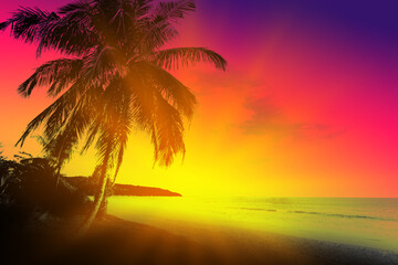 Obraz na płótnie Canvas Sunset on tropical beach with palms