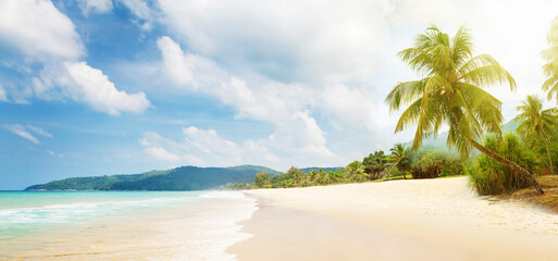 Tropical beach with palms