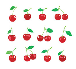cherry fruit vector