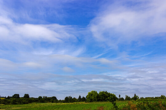 Sky with cirrus and nacreous clouds over the field