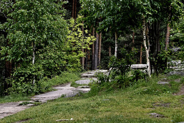 path in the garden