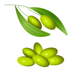 Realistic green olive on a branch with leaves. Handful of olive berries on an isolated white background. Concept: healthy eating, wholesome foods and natural cosmetics. Vector illustration, eps 10.