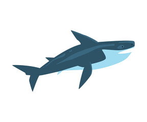 Fototapeta premium Killer Whale, Marine Life Element, Sea or Ocean Creature Vector Illustration