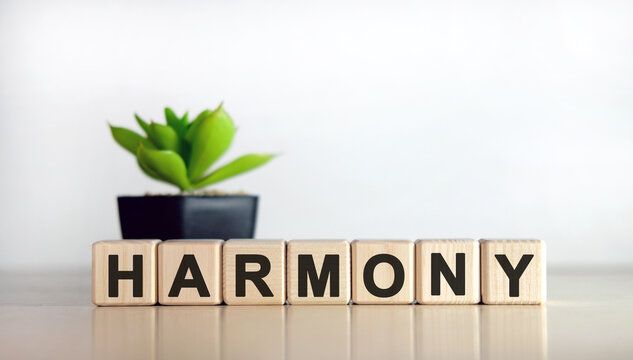 Harmony - a gentle text of relaxation on cubs with flower