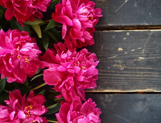 Place for a congratulatory text.Spring floral background. Burgundy peonies on a dark wooden background.