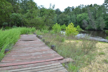 Fototapeta na wymiar red wood platform or deck by river with trees