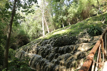 Paisaje natural