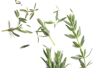 Fototapeta premium Fresh green rosemary isolated on white, top view. Aromatic herb.