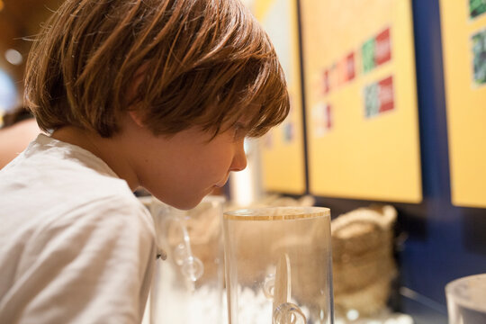 Little boy smelling oriental scents at Interpretive Center of Moriscos Culture in Hornachos, Spain