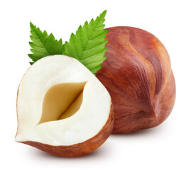 Hazelnut isolated on white background