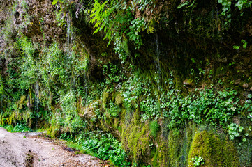 Wanderung zur Rinnenden Mauer in Molln