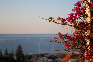 Sanremo
