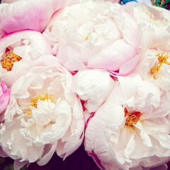 Bouquet of peonies close up