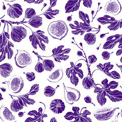 Figs seamless pattern. Vector texture print Summer