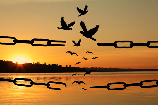 Freedom concept. Silhouettes of broken chain and birds flying outdoors at sunset