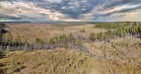 panorama of northern peat swamp under sky with heavy clowds