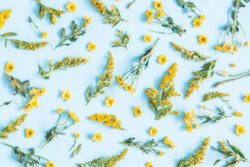Flowers composition. Yellow flowers on blue background. Spring concept. Flat lay, top view