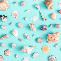 Sea shells pattern on blue background. Summer concept. Flat lay, top view