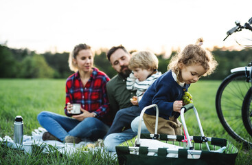 Family with two small children on cycling trip, sitting on grass and resting.