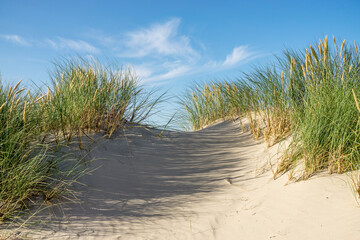 Beach with sand dunes and marram grass with blue sky and clouds. Skagen Nordstrand, Denmark. Skagerrak, Kattegat.