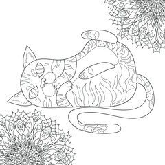 Coloring book for adults / Antistress / Cute cat