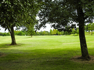 真夏には熱中症が避けられる木々の木陰がとてもありがたく感じます