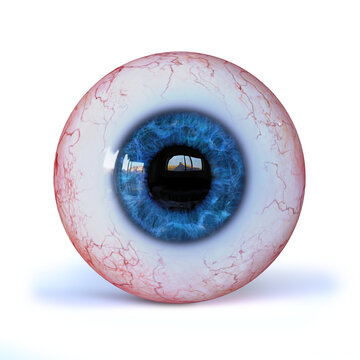 realistic human eyeball with blue iris isolated with shadow on white background
