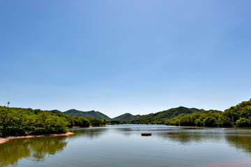 Fototapeta na wymiar View of Senjoji lake in Sanda city, Hyogo prefecture, Japan in early summer