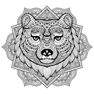Bear. Coloring is hand-drawn in the style of Zentangle, Doodle. Full face illustration animal's head black lines on a white background. Ethnic ornaments Indian, Mexican. Vector abstract background
