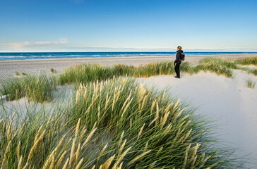 Young woman hiking in coastal sand dune grass at beach of North Sea in soft sunrise sunset light....