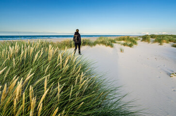Young woman hiking in coastal sand dune grass at beach of North Sea in soft sunrise sunset light. Skagen Nordstrand, Denmark. Skagerrak, Kattegat.
