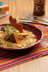 seco de pollo - traditional peruvian dish with chicken