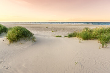 Beach with sand dunes and marram grass in soft purple sunrise sunset light. Skagen Nordstrand, Denmark. Skagerrak, Kattegat.