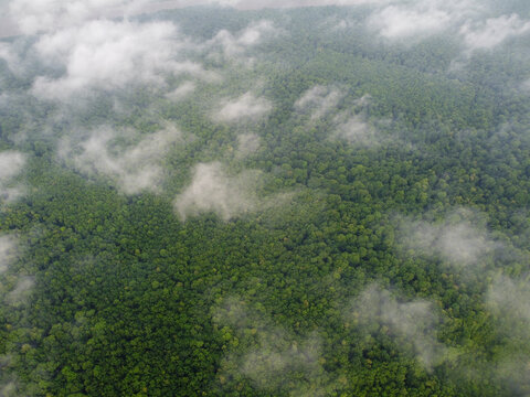 small clouds flying over a dense forest, view from space. © malshak_off