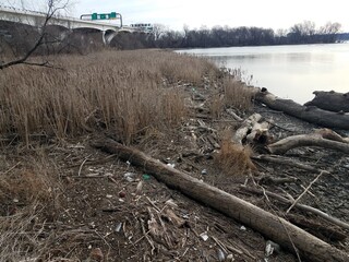 wood and sticks and branches and garbage or trash and the Wilson bridge in Virginia