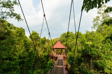 The Canopy Walkway is walking trail into a lowland jungle at Thung Khai Botanic Garden in Yan Ta Khao District, Trang, Thailand.