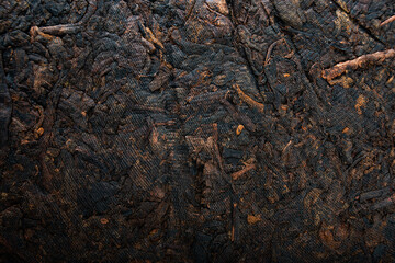 ripe puer chinese tea leaf