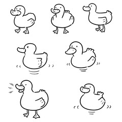 vector set of duck