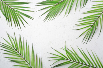 Palm leaves on white quartz background