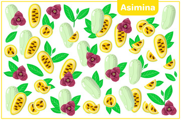 Set of vector cartoon illustrations with Asimina exotic fruits, flowers and leaves isolated on white background