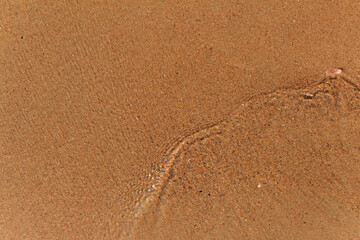 Small waves on the beach.