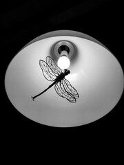 Black and white silhouetted dragonfly against the lamp
