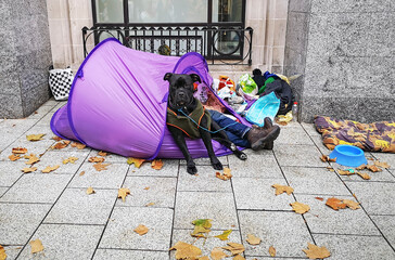 A homeless man is sleeping in a tent with his dog beside him - baggage and belongings are scattered all around.
