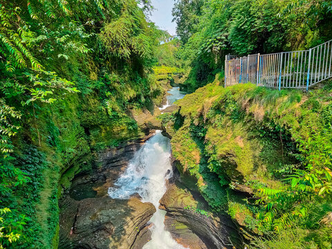 Devis Fall" Images – Browse 5 Stock Photos, Vectors, and Video | Adobe Stock